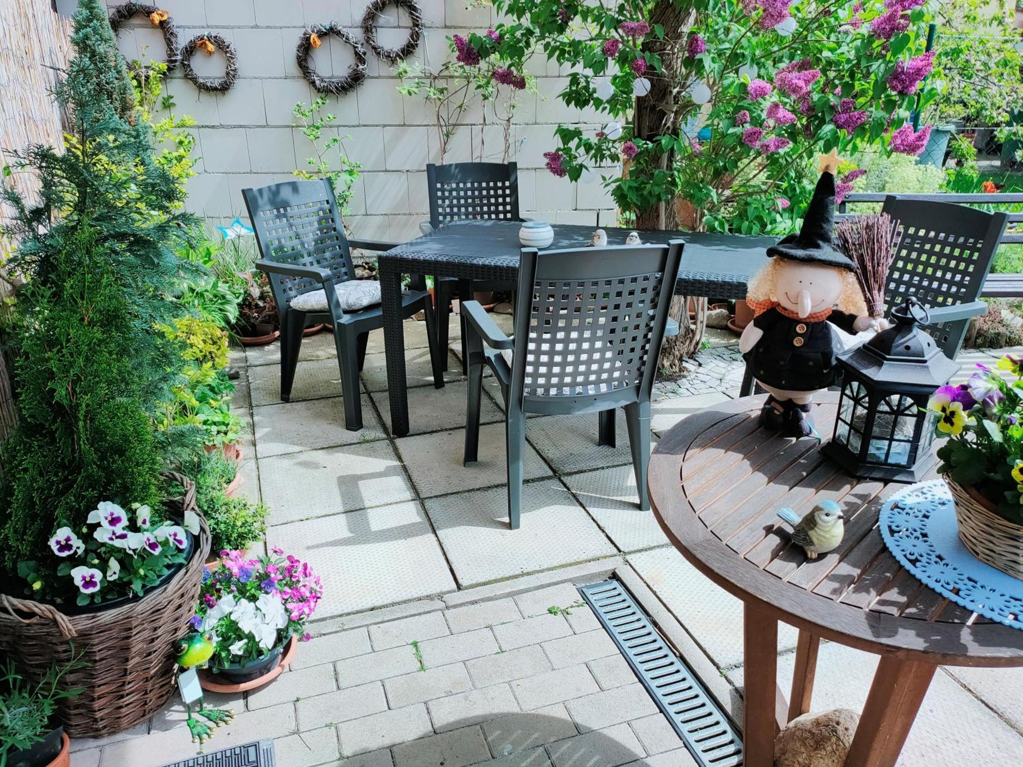 Ferienhaus Alte Tante Apartment Thale Exterior photo